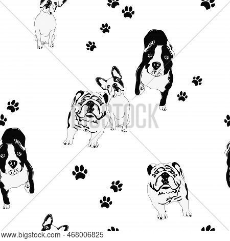 American Staffordshire Terrier, Pitbull, English Bulldog, French Bulldog, Paw And Footprint Seamless