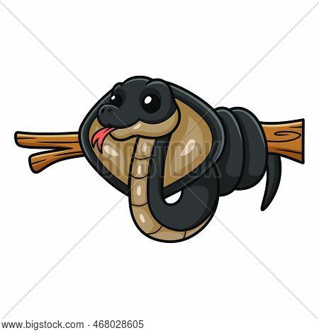 Vector Illustration Of Cute Javan Spitting Cobra Cartoon On Tree Branch