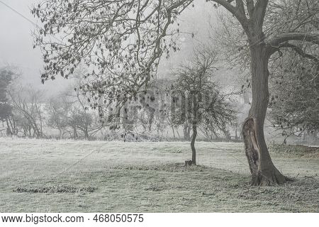 Beautiful Wintry Landscape Image Of Forest In English Countryside Covered In Hoarfrost