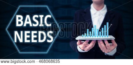 Sign Displaying Basic Needs. Conceptual Photo Something That You Must Have In Order To Sustain Or Li