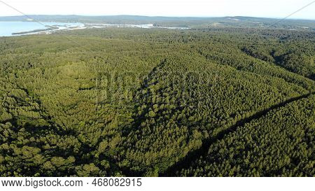 Nature On The Amur River In Russia. Aerial View.