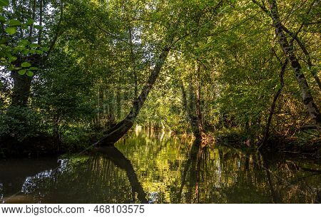 Boat Trip On An Inner Canal In The Marais Poitevin