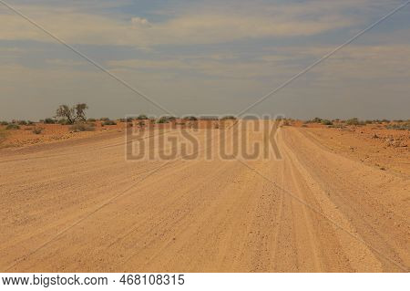 Namibian Landscape Along The Gravel Road. Yellow Ground And African Vegetation Around. Damaraland, H