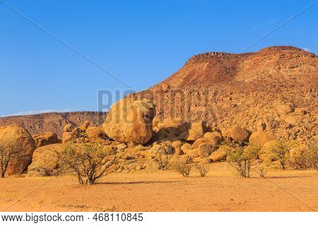 Namibian Landscape, Red Ground And African Vegetation Around. Damaraland, Homelands In South West Af