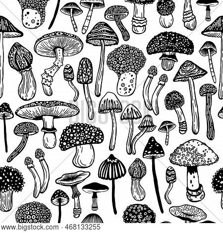 Seamless Vector Pattern Of Hallucinogenic Mushrooms. Fantasy Hand Drawn Concept Of Toadstools. Styli