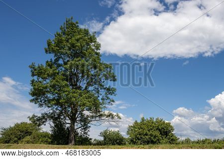Canal Built Between Morava Part Of Czech And Slovakia By Bata. Beautiful Greenery Lining The Route, 