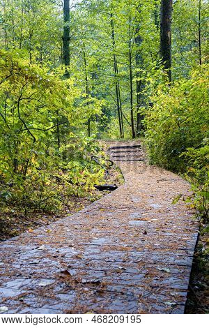 Autumn Leaves On The Old Steps Of The Stairs. Eco-trail Komarovsky Bereg. Saint Petersburg. Russia