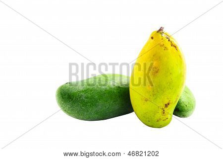 Thai Mangoes