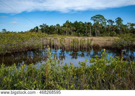 Scenery At The Merritt Island National Wildlife Refuge Near Titusville, Florida