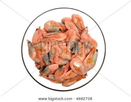 Shrimps In Bowl