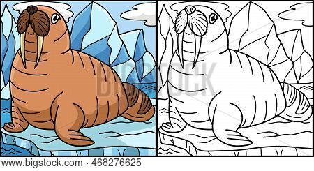 This Coloring Page Shows A Walrus. One Side Of This Illustration Is Colored And Serves As An Inspira