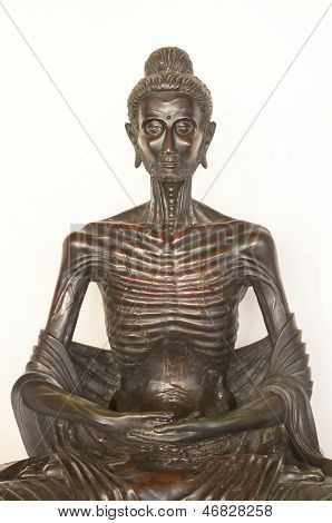 Buddha