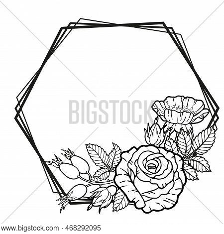 Vector Borders Of Rose Flowers, Branches And Leaves. Vector Isolated On White Background. Coloring B