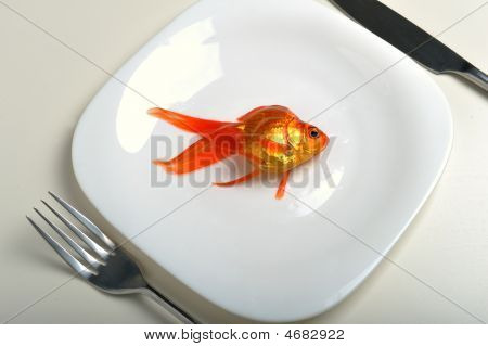 Goldfish in Platte