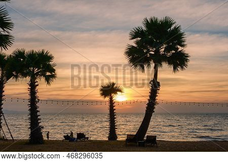 White Tropical Beach During Sunset In Pattaya Najomtien. Palm Trees At The Beach During Sunset