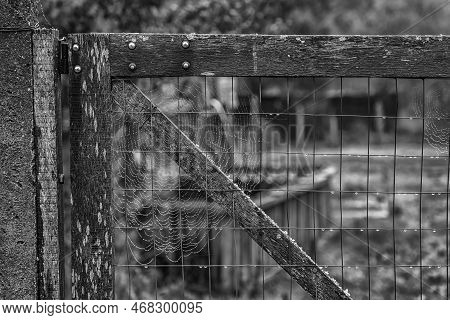 An Old Wooden Door With A Cobweb In The Corner. Vintage View