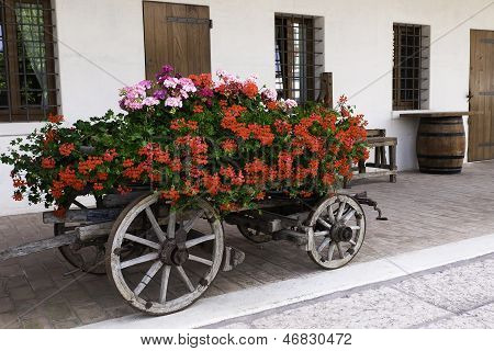 Carretilla de flor
