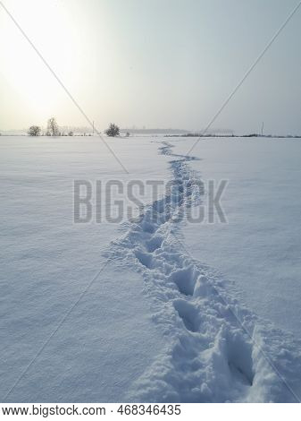 Landscape Of Fields Covered With White Snow And Footprints Of A Person In Far In Very Deep Snow Duri