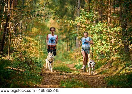 Svetly, Kaliningrad Oblast, Russia - October 2, 2021 - Canicross Exercises, Young Man And Adult Woma