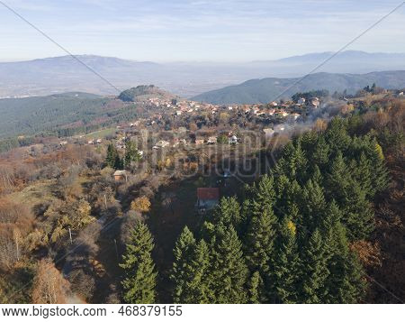 Aerial View Of Old Sequoia Forest Near Village Of Bogoslov, Bulgaria