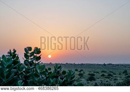 Sun Rising At The Horizon Of Thar Desert, Rajasthan, India. Tourists From Across India Visits To Wat