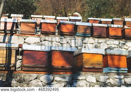 Summer View Of Rural Apiary And Honey Production In Balkan Peninsula Countries, Bee Hive Colony, Swa