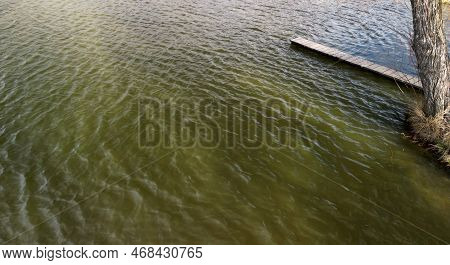 Floating Walkway Made Of Wooden Planks. Narrow Curved Paths On Stilts Driven Into The Bottom, Above 