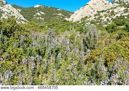 Sardinia Mountains And Rocks For Climbing