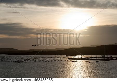 Beautiful Sunrise Morning At Sardinia Coast