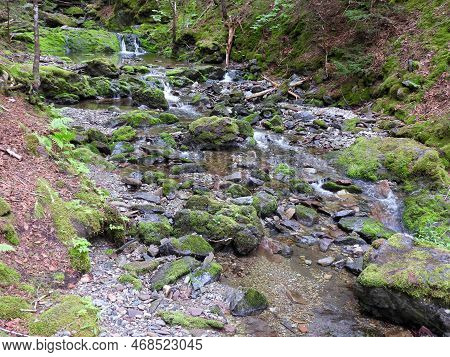 Scenic Dickson Falls In Fundy National Park
