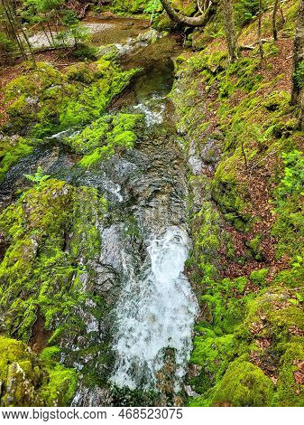Scenic Dickson Falls In Fundy National Park