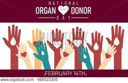 Hands With  White Heart, Health Care,  Lung , Love, Organ Donation, World Heart Day, World Health Da