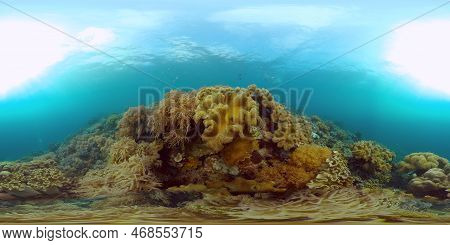 Tropical Fishes And Coral Reef At Diving. Beautiful Underwater World With Corals And Fish. Philippin