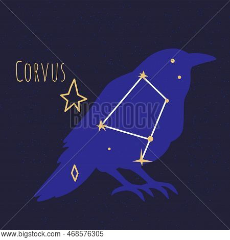 Constellation Of Corvus, Star Shape In Form Of Bird
