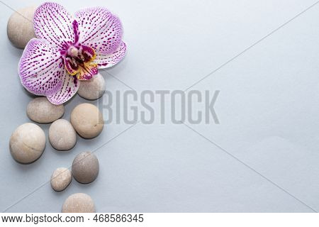 Spa Wellness Concept.pebbles Rocks In Pyramid Sea Salt And Orchid Flower