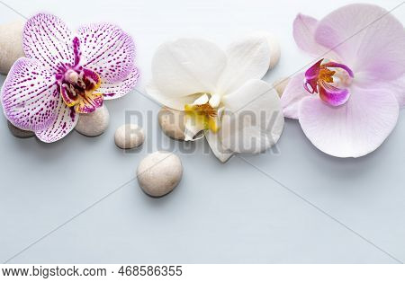 Spa Wellness Concept.pebbles Rocks In Pyramid Sea Salt And Orchid Flower