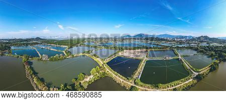 6 Jan 2023 The Landscape Of Fung Lok Wai Fish Pond