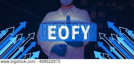 Inspiration Showing Sign Eofy. Concept Meaning A Mega Sale Held On An End Of A Financial Year