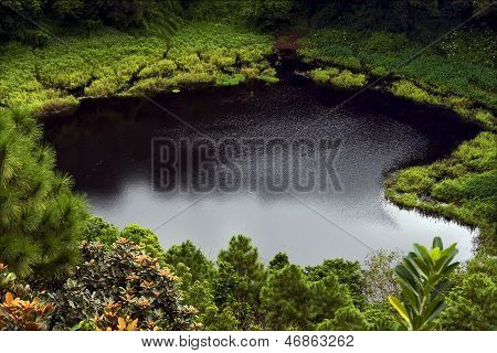 Lake    Tree And Hill