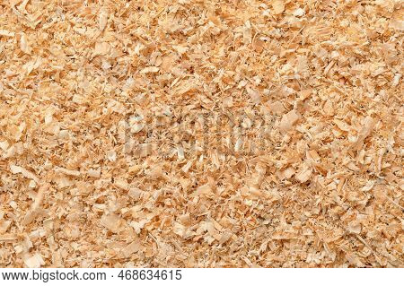 Wood Chips, Coarse Sawdust, Close-up, Surface From Above. Small Chippings Of Wood, Formed By Sawing 