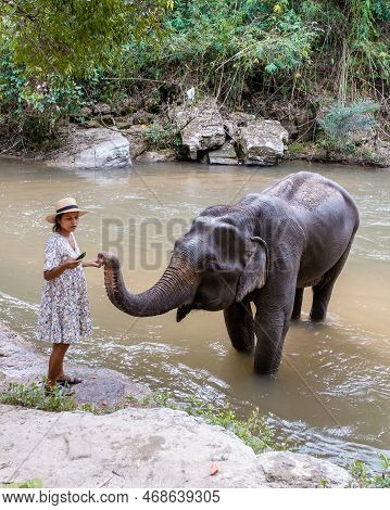 Asian Women Visiting A Elephant Sanctuary In Chiang Mai Thailand, Girl With Elephant In The Jungle