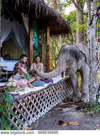 Couple Visiting A Elephant Sanctuary In Chiang Mai Thailand, Elephant Farm In The Mountains Jungle