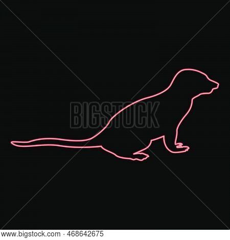Neon Meerkat In Pose Suricata Suricatta Red Color Vector Illustration Image Flat Style Light