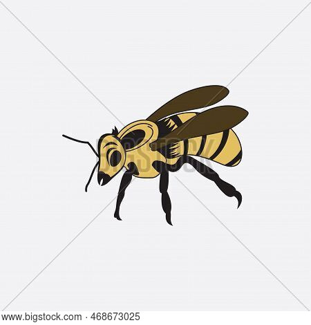 Bee Logo Vector Illustration Design Icon Logo