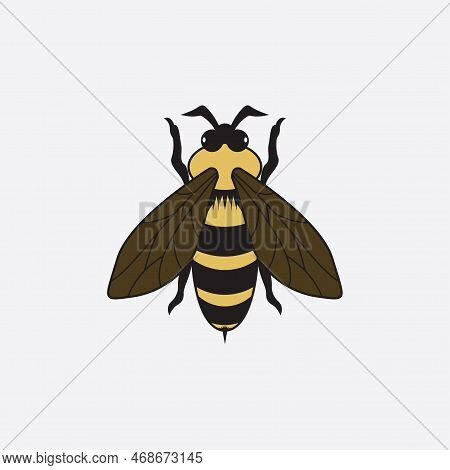 Bee Logo Vector Illustration Design Icon Logo