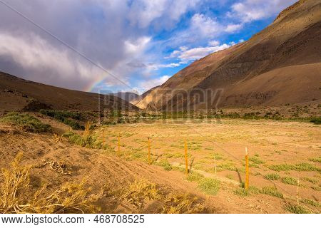 Farm In Quebrada Paredones In Northern Chile.
