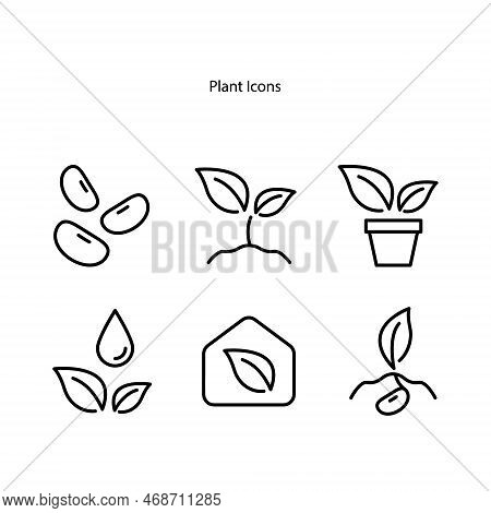 Plant Icon Isolated On A White Background From The Ecology Collection. Crop Icon Thin Line Line Line