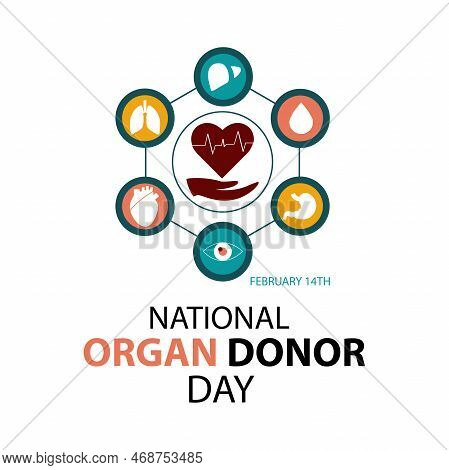 Hands With Circle Type  White Heart, Health Care,  Lung , Love, Organ Donation, World Heart Day, Wor