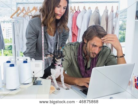 Chihuahua na mesa de desginers de moda