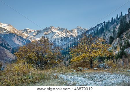 Panorama di natura verde delle montagne, neve e cielo blu In Chimbulak Almaty, Kazakistan